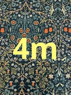 4m