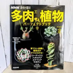 2026年最新】nhk趣味の園芸 観葉植物 パーフェクトブックの人気