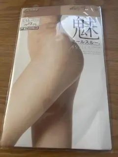 ATSUGI オールスルー ストッキング L-L