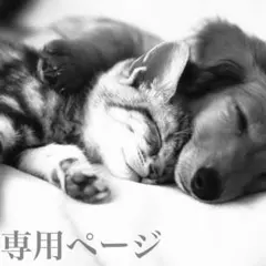 D.DOLL♪様 ページ