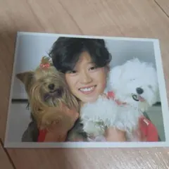 中森明菜 アイドル