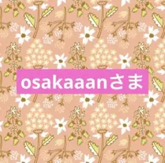 osakaaanさま専用☆。.:＊・゜