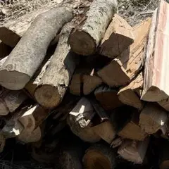 Item thumbnail for item 5d46edc3-e2d3-4d0a-9b8d-87de9228ac4e