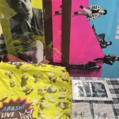 嵐 ARASHI ポップコーングッズ7点セット ファイルイヤホンジャック バッグ