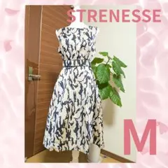 Item thumbnail for item c87408d0-297b-4831-9b87-786520f177a1