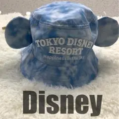 ディズニー バケットハット バケハ ハピネスインザスカイ バルーン 空色 青