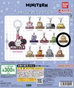 Item thumbnail for item 5d3f5ad9-a496-432b-88b6-858619548aab