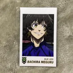 ブルーロック フォトカードコレクション 蜂楽廻 2枚セット