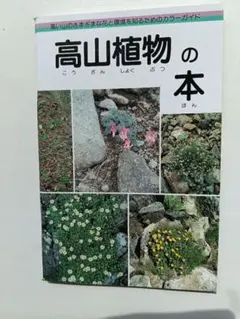 2026年最新】植木通彦の人気アイテム - メルカリ