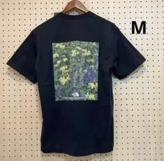 フラッシュドライピクセルプラントコットンTシャツM（NT32549）