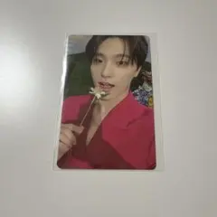 SEVENTEEN ディノ　トレカ