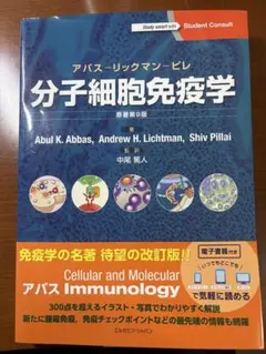 Item thumbnail for item 516c4c08-3d0c-4053-9a32-1df19f9c806e