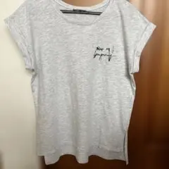 ZARA レディースＴシャツ
