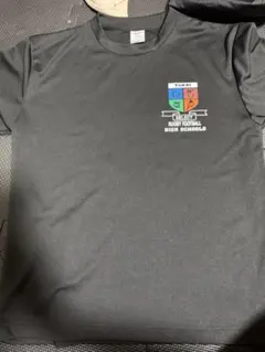 Item thumbnail for item a9cdff39-d71e-4fb0-bacd-7cef59853135