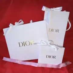 Dior ギフト袋 セット（大・中・小）