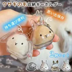 Item thumbnail for item d3810e61-545a-4f1e-b76a-24d2750823f8