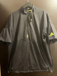 Item thumbnail for item ea75928b-839f-474f-a137-7c4085f798ce