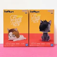 ハイキュー!! fluffy Puffy ケンマネコ クロオネコ