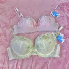 ブラジャー Ꭰ70 2点セットのサムネイル