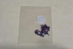 クッキーランキングダム　ミニアクリルスタンド　ベルベットケーキ味クッキー