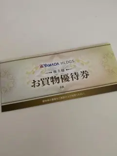 ヤマダ電機　 お買物優待券 ¥500円× 6枚　3000円分