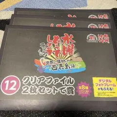 水曜どうでしょう くじ ⑫クリアファイル2枚賞×8種 計8枚 コンプリート