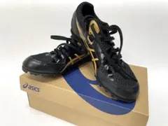 ASICS EFFORT 13 24.5㎝　陸上スパイク