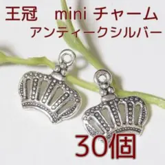 王冠ティアラMiniチャーム【30個】パーツ まとめ売り (C221-AS)