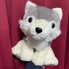 2025年最新】もふっとオオカミの人気アイテム - メルカリ