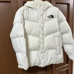 日本未入荷　ホワイトレーベル　ノースフェイス　フリームーブ ダウンジャケット