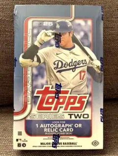 Item thumbnail for item 8f9a7a2f-8c50-4b9f-a241-3ff46ed63e9d