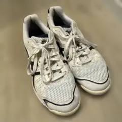 【27cm】アシックス ローテジャパンライト