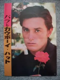 アラン・ドロン　カラーポート　Ｂ4サイズ　スクリーン増刊号からの切り抜き