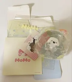 momo 海洋シリーズ　シークレット　ラッコ　ウーパールーパー　未使用品　2点 2026年最新】海洋シリーズラッコの人気アイテム - メルカリ