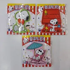 スヌーピーラブリーふせんメモ　三種類セット