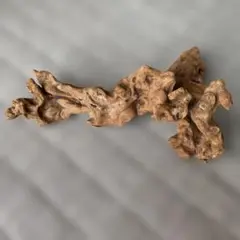 流木