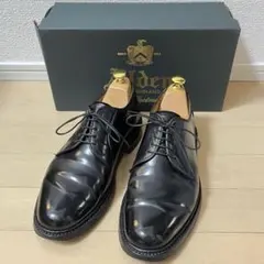 Alden 9901 オールデン 7.0Dコードバン　プレーントゥのサムネイル