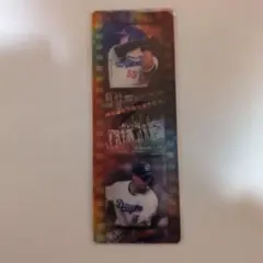 ちくちく様 リクエスト 2点 まとめ商品