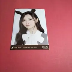 Item thumbnail for item e370a237-c762-481b-b353-c33197ede730