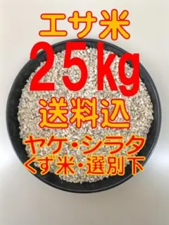 エサ米 25kg【未選別・送料込】ヤケ　シラタ　くず米　選別下のサムネイル