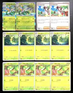 ポケカ　ジャローダ　ジャノビー　ツタージャ　進化ライン　メイのはげまし　計12枚