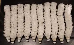 Item thumbnail for item 5f7c62ad-0bab-4e14-b865-228b6ea497d0