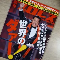 2026年最新】猪木引退試合パンフレットの人気アイテム - メルカリ
