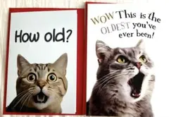 Item thumbnail for item 2e3a7ac5-e0df-497d-92cd-35e80df73fd0