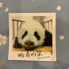 パンダのすごい世界　入場特典