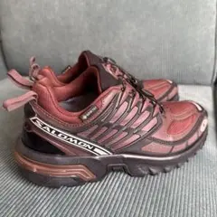 Item thumbnail for item 602c5195-10ae-44b9-936e-dfb30c3b83f4