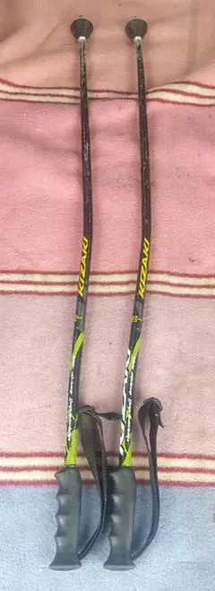 スキーストック