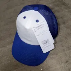 Item thumbnail for item 38ce6ffb-9e72-4c79-a967-ce7a51f215b7