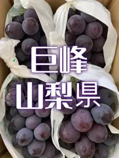 h14 山梨県産　巨峰　黒ぶどう　訳あり　箱込み1キロ粒のサムネイル