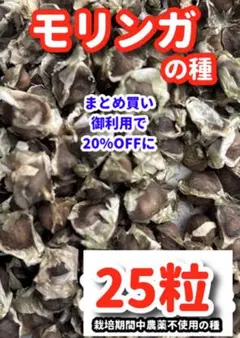 ねねちゃ様 リクエスト 2点 まとめ商品